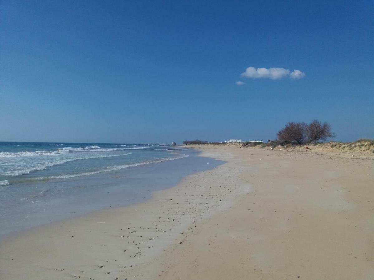 Torre PaliCasa Salento Mely House别墅 外观 照片
